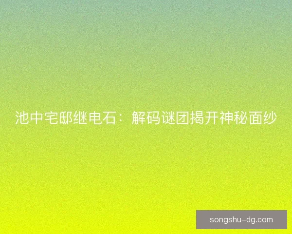 池中宅邸继电石:解码谜团揭开神秘面纱 池中宅邸继电石:解码谜团揭开神秘面纱